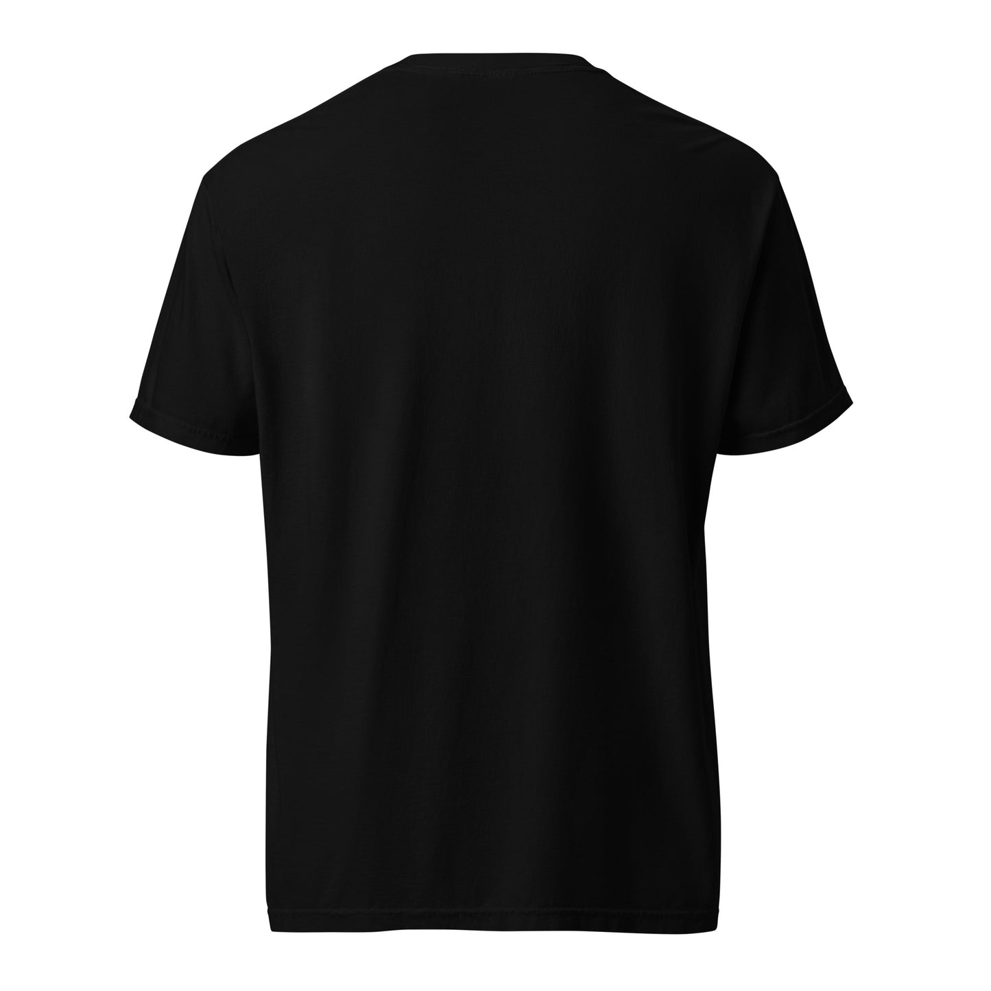 The Logo (Garment-dyed heavyweight t-shirt)