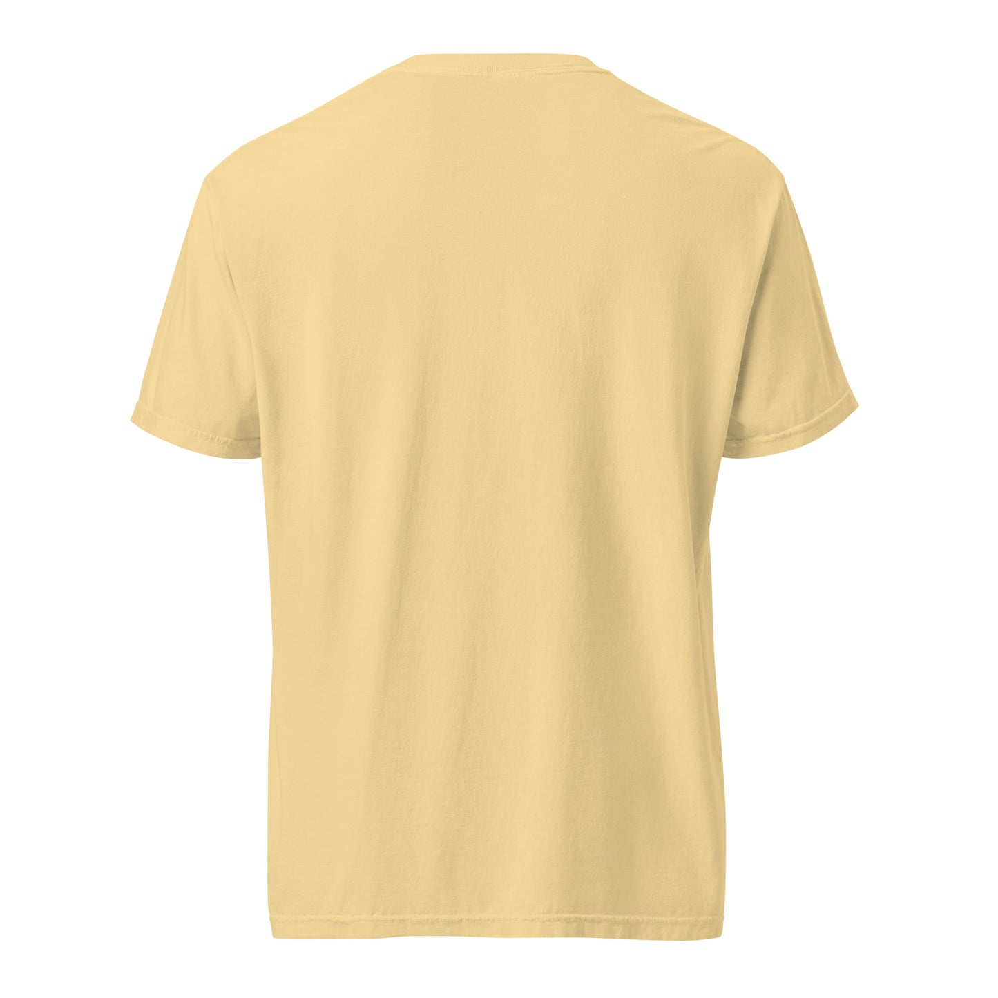 The Logo (Garment-dyed heavyweight t-shirt)