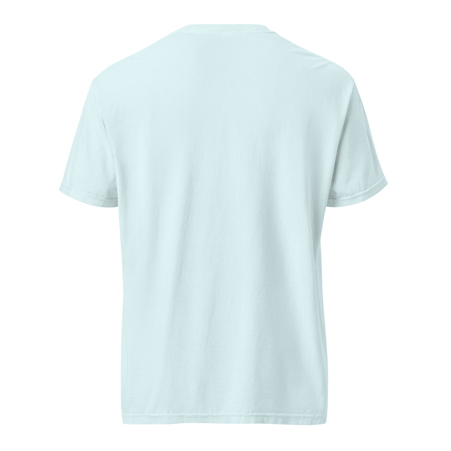 The Logo (Garment-dyed heavyweight t-shirt)